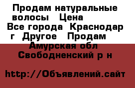 Продам натуральные волосы › Цена ­ 3 000 - Все города, Краснодар г. Другое » Продам   . Амурская обл.,Свободненский р-н